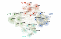 illustration of four subtypes of brain cancer and their predicted master regulators